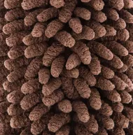 Covoraș cu absorbție sporită pentru animalele de companie - 44x68 cm