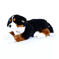 Câine mare plușat bernese, culcat, 89 cm 