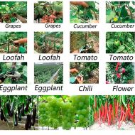 Capsator profesional pentru plante - PLANTBRAND