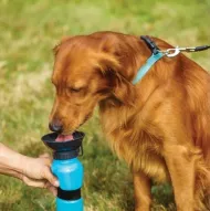 Sticlă de voiaj pentru câini cu bol - 500 ml - DOGS Collection
