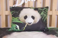 Lenjerie de pat Panda