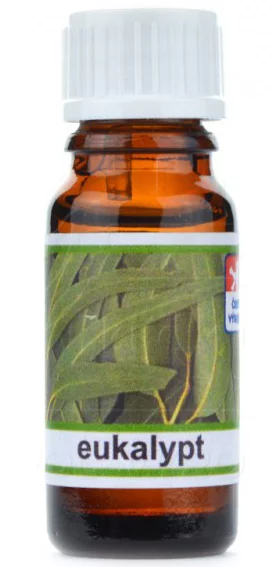 Esență pentru aromaterapie 10 ml - Eucalipt